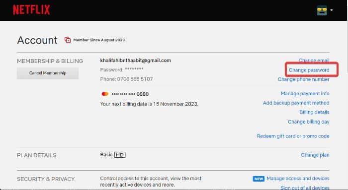 Change Netflix Password