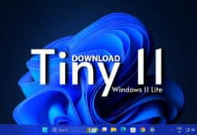 Download Tiny11 ISO