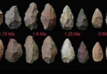 World's Oldest human tools discovered in Africa, dated to 3.3 million years ago