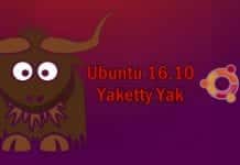 Ubuntu Linux 16.10 (Yakkety Yak) Beta 1 now available for download