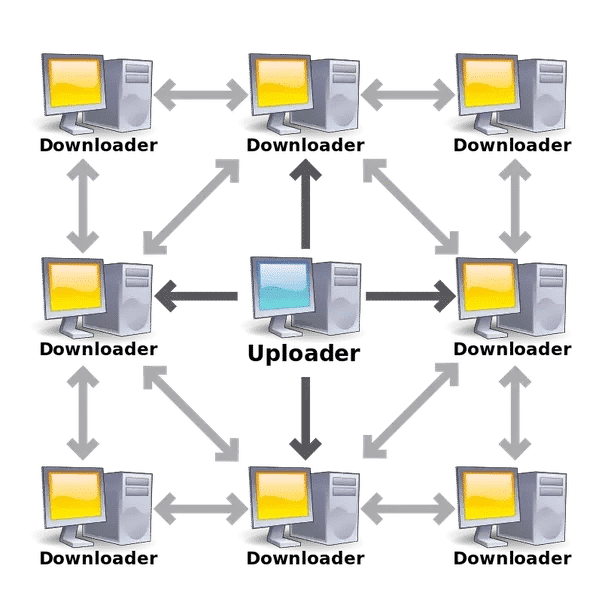 What are seeds, peers and leechers in Torrents' language?